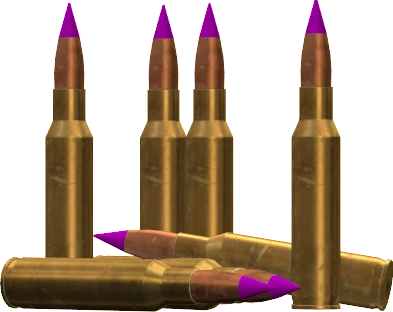 .300BLK Rounds