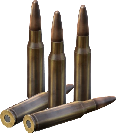 .308 WIN Rounds