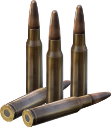 .308 WIN Rounds