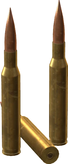 .338 Lapua Magnum Rounds