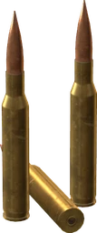 .338 Lapua Magnum Rounds