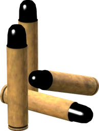 .450 Marlin Rounds