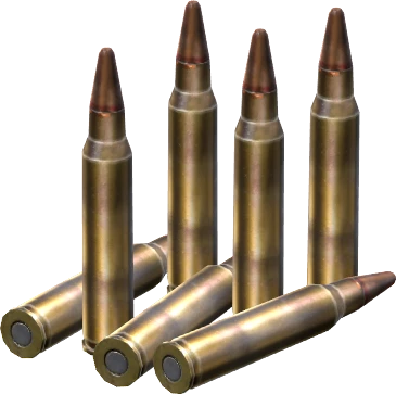 5.56x45mm Rounds