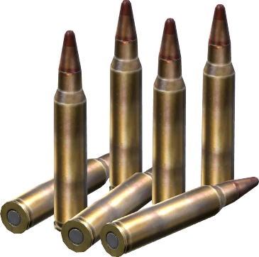 5.56x45mm Tracer Rounds