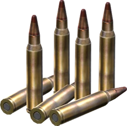 5.56x45mm Tracer Rounds