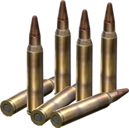 5.56x45mm Rounds