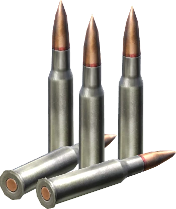 7.62x54mmR Rounds