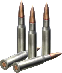 7.62x54mmR Rounds