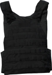 Normal Plate Carrier
