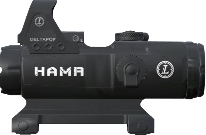 HAMR Optic