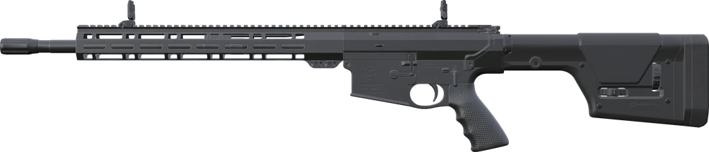 AR-10