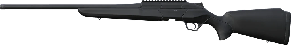 BRX1